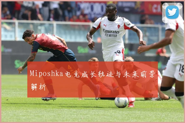 Miposhka电竞成长轨迹与未来前景解析