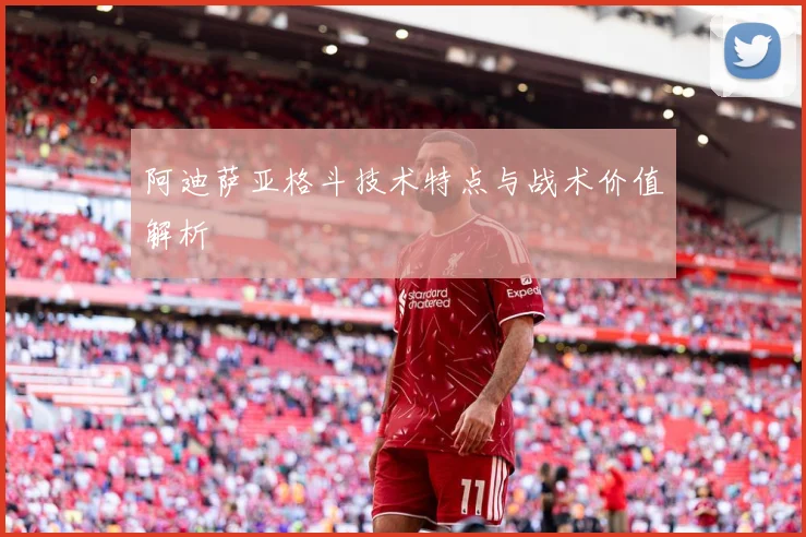 阿迪萨亚格斗技术特点与战术价值解析