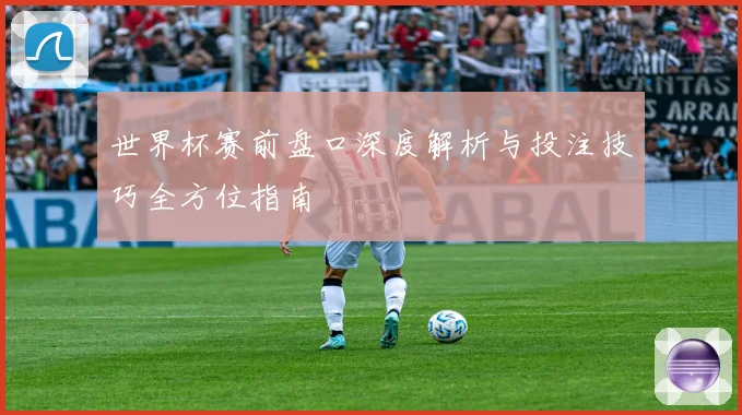 世界杯赛前盘口深度解析与投注技巧全方位指南